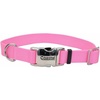 Pink Bright