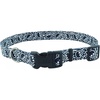 Small (Pack of 1)