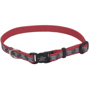 image:imageCoastal Pet  Lazer Brite  Reflective Adjustable Dog Collar Turquoise Bones 58 x 1218Red Paws and Bones