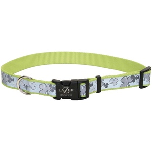 image:imageCoastal Pet  Lazer Brite  Reflective Adjustable Dog Collar Turquoise Bones 58 x 1218Shamrocks