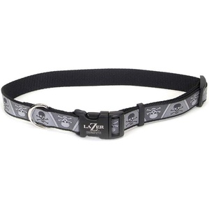image:imageCoastal Pet  Lazer Brite  Reflective Adjustable Dog Collar Turquoise Bones 58 x 1218Skulls and Crossbones