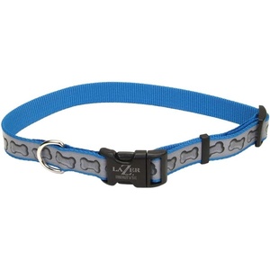 image:imageCoastal Pet  Lazer Brite  Reflective Adjustable Dog Collar Turquoise Bones 58 x 1218Turquoise Bones