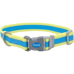 image:imageCoastal Pet  Pro  Reflective Adjustable Dog Collar Bright Blue with Grey 1 x 1420Aqua with Neon Yellow