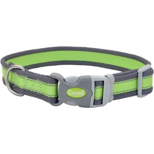 image:imageCoastal Pet  Pro  Reflective Adjustable Dog Collar Bright Blue with Grey 1 x 1420Bright Green with Grey