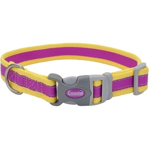 image:imageCoastal Pet  Pro  Reflective Adjustable Dog Collar Bright Blue with Grey 1 x 1420Purple with Yellow