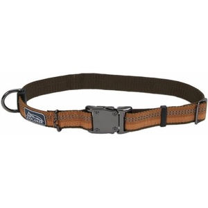 image:imageCoastal Pet K9 Explorer Reflective Adjustable Dog Collar  Comfortable Collar for the Outdoors  Durable Lightweight Accessory with SideRelease Buckle  Campfire Orange 1 x 1826Campfire Orange