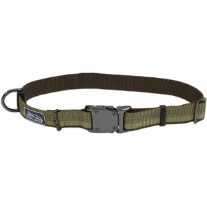 image:imageCoastal Pet K9 Explorer Reflective Adjustable Dog Collar  Comfortable Collar for the Outdoors  Durable Lightweight Accessory with SideRelease Buckle  Campfire Orange 1 x 1826Fern