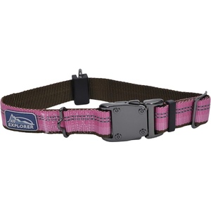 image:imageCoastal Pet K9 Explorer Reflective Adjustable Dog Collar  Comfortable Collar for the Outdoors  Durable Lightweight Accessory with SideRelease Buckle  Campfire Orange 1 x 1826Berry