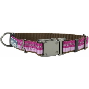 image:imageCoastal Pet K9 Explorer Reflective Adjustable Dog Collar  Comfortable Collar for the Outdoors  Durable Lightweight Accessory with SideRelease Buckle  Campfire Orange 1 x 1826Orchid