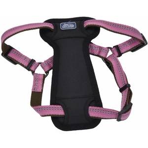 image:imageCoastal Pet K9 Explorer Reflective Adjustable Padded Dog Harness  Plush Chest Pad for Comfort  NoPull Dog Harness for Small and Large Dogs  Rosebud  1 x 2638 LargeOrange