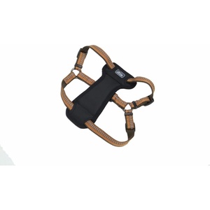 image:imageCoastal Pet K9 Explorer Reflective Adjustable Padded Dog Harness  Plush Chest Pad for Comfort  NoPull Dog Harness for Small and Large Dogs  Rosebud  1 x 2638 LargeCampfire Orange