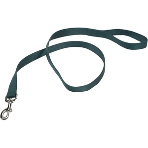 image:imageCoastal Pet SinglePly Dog Leash  Sturdy Pet Leash  Comfortable amp Stylish  Resists Fraying  Vibrant amp FadeResistant Color  Lime 1 x 6Hunter