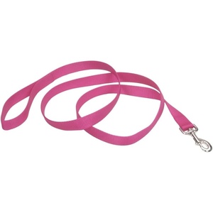 image:imageCoastal Pet SinglePly Dog Leash  Sturdy Pet Leash  Comfortable amp Stylish  Resists Fraying  Vibrant amp FadeResistant Color  Lime 1 x 6Neon Pink