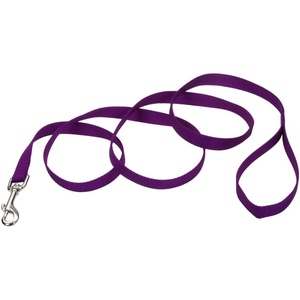 image:imageCoastal Pet SinglePly Dog Leash  Sturdy Pet Leash  Comfortable amp Stylish  Resists Fraying  Vibrant amp FadeResistant Color  Lime 1 x 6Purple