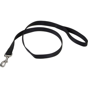 image:imageCoastal Pet SinglePly Dog Leash  Sturdy Pet Leash  Comfortable amp Stylish  Resists Fraying  Vibrant amp FadeResistant Color  Lime 1 x 6Red