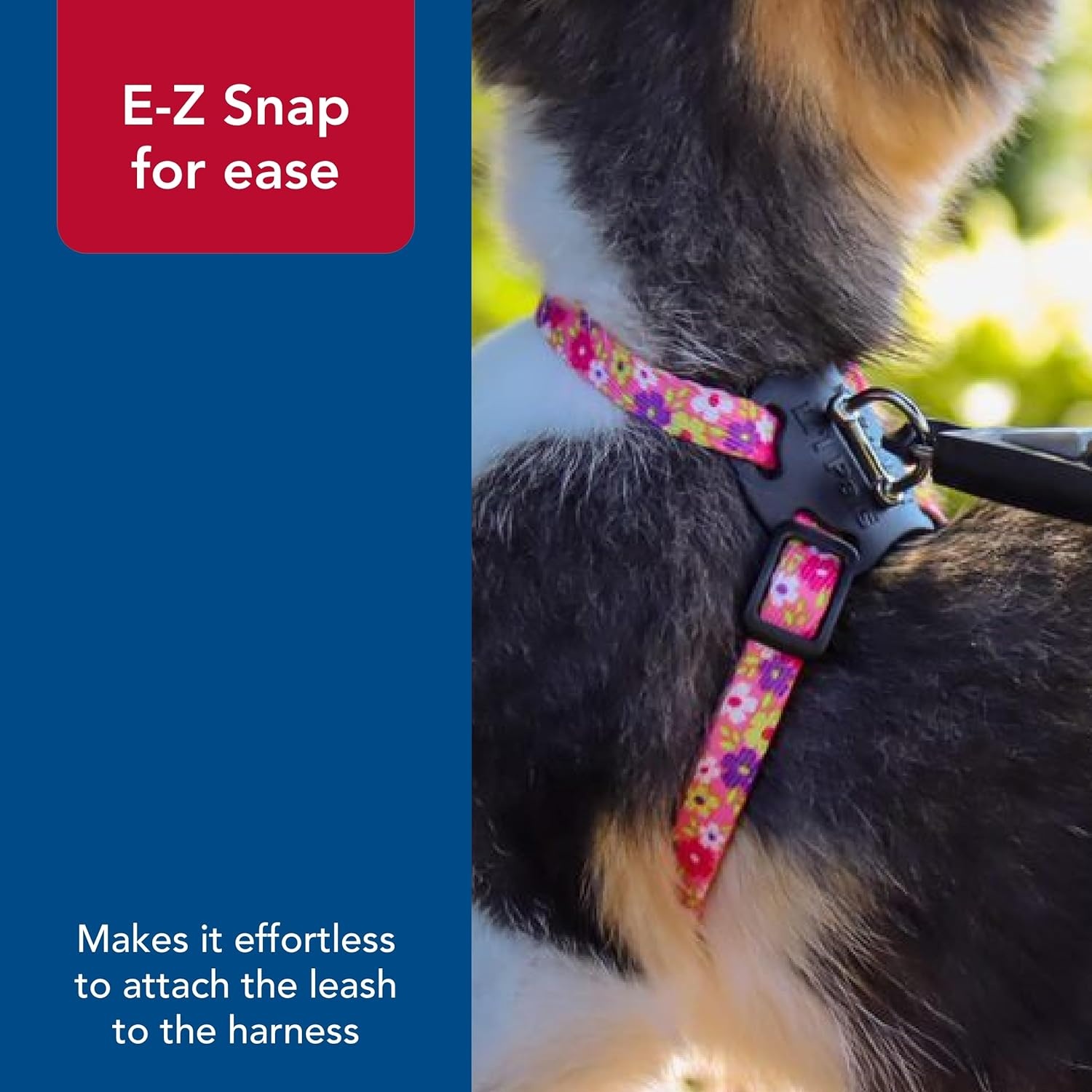 image:imageCoastal Lil Pals Adjustable Kitten Harness and Leash Combo Pink and Purple Daisy MultiColor 38 x 610Daisy MultiColor