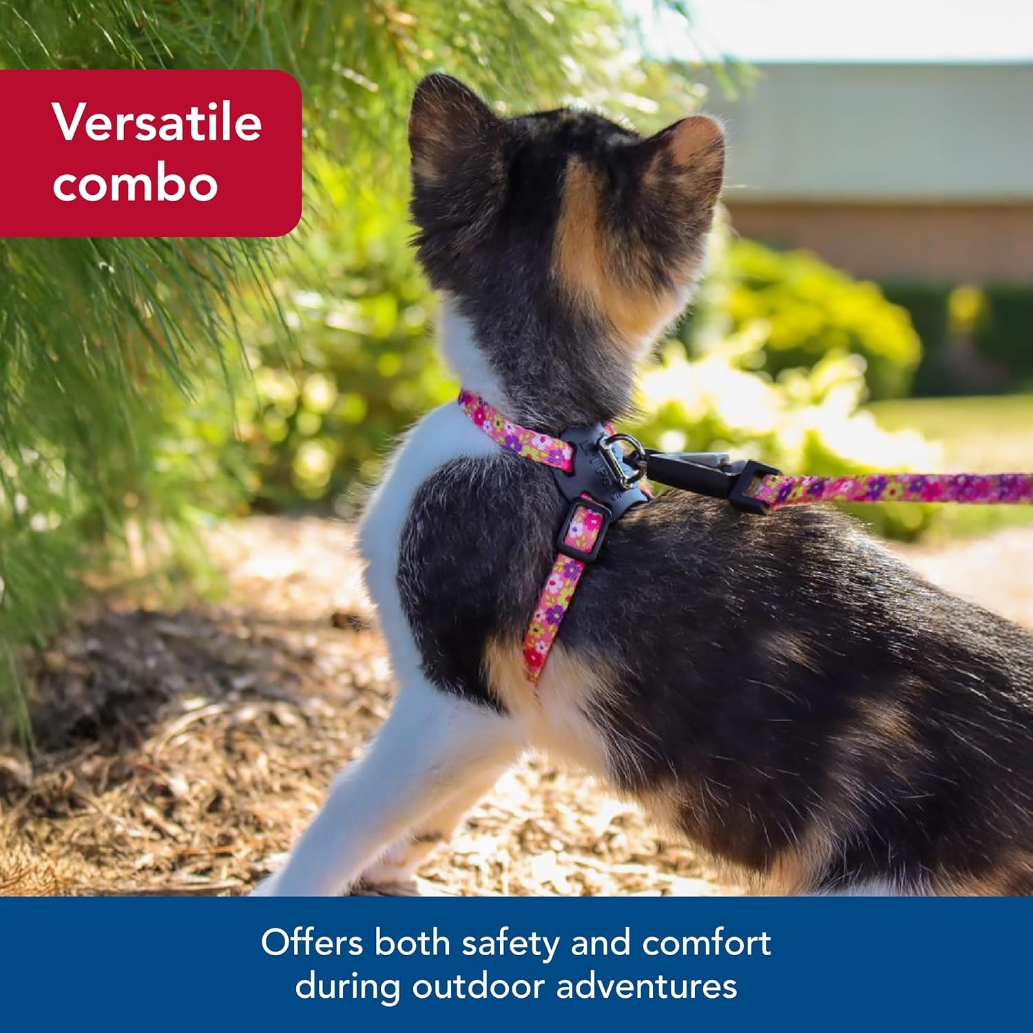 image:imageCoastal Lil Pals Adjustable Kitten Harness and Leash Combo Pink and Purple Daisy MultiColor 38 x 610Daisy MultiColor