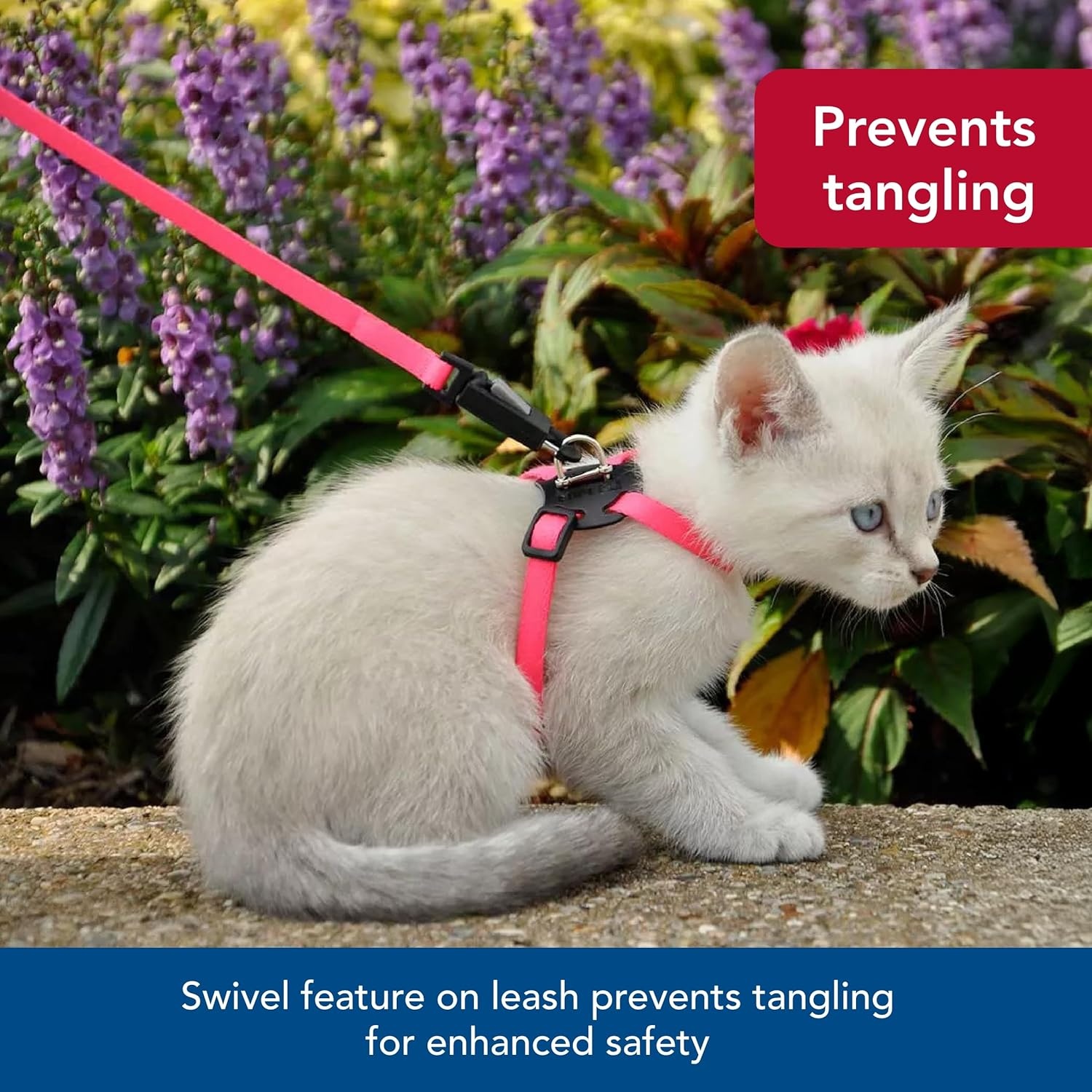image:imageCoastal Lil Pals Adjustable Kitten Harness and Leash Combo Pink and Purple Daisy MultiColor 38 x 610Daisy MultiColor