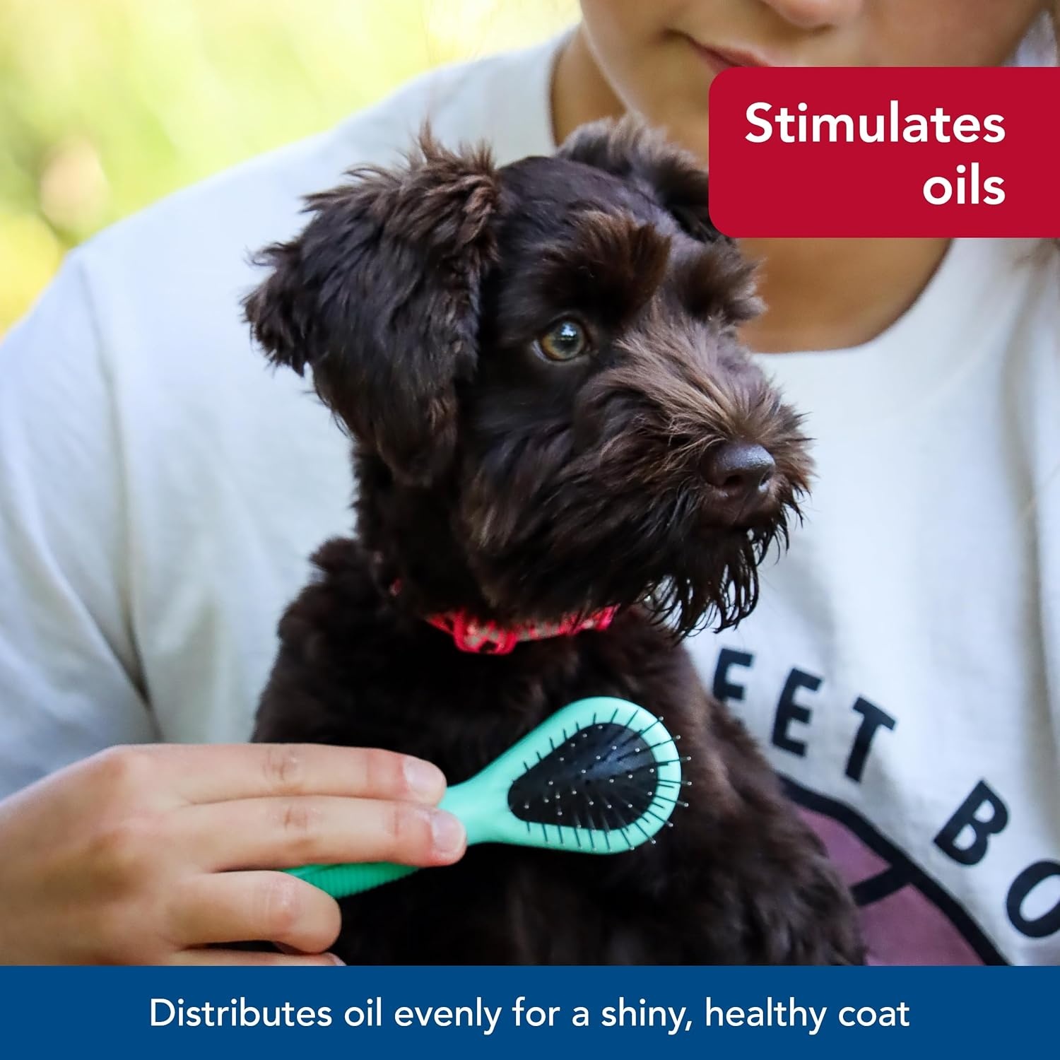 image:imageCoastal Pet Lil Pals Dog Combo Brush Dog Grooming Brush for Small Dogs One Size