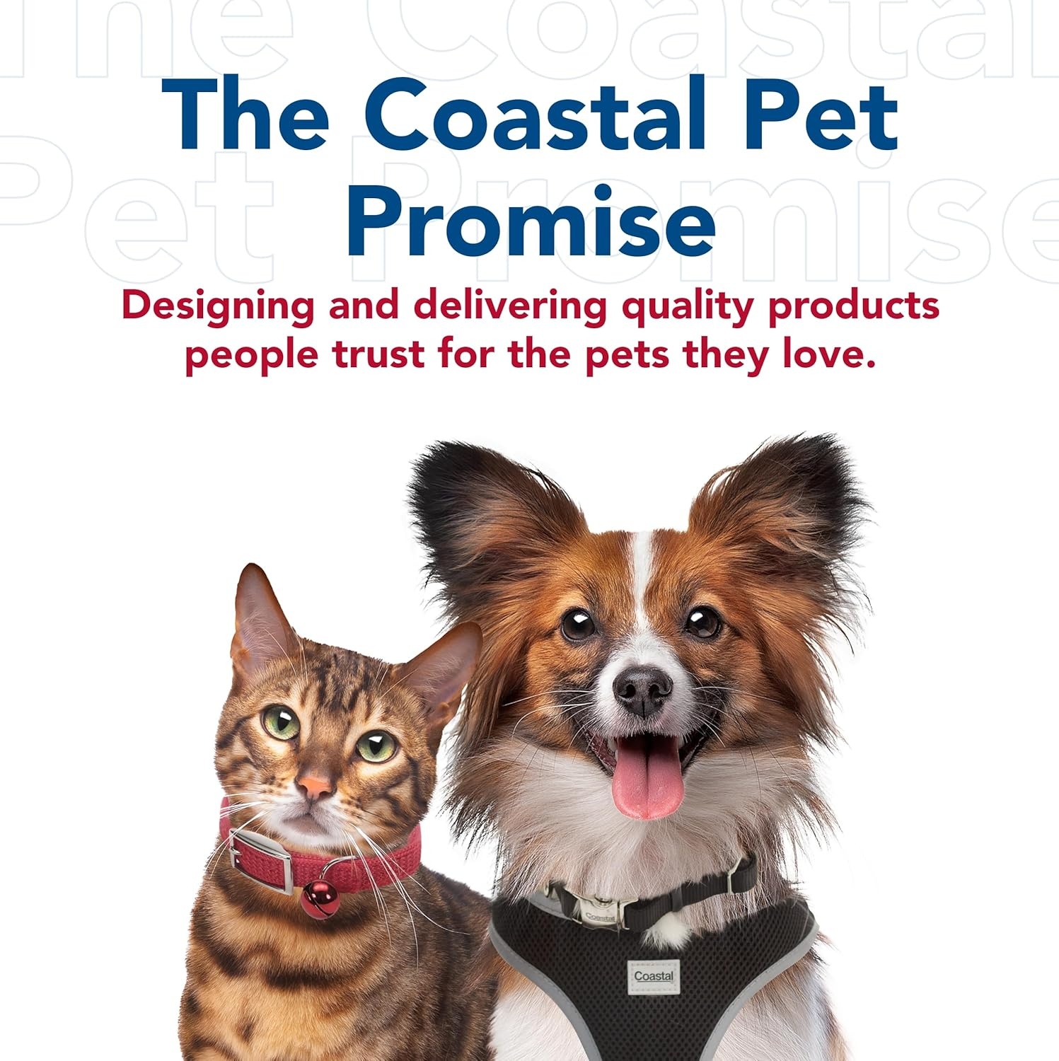 image:imageCoastal Pet Lil Pals Dog Combo Brush Dog Grooming Brush for Small Dogs One Size