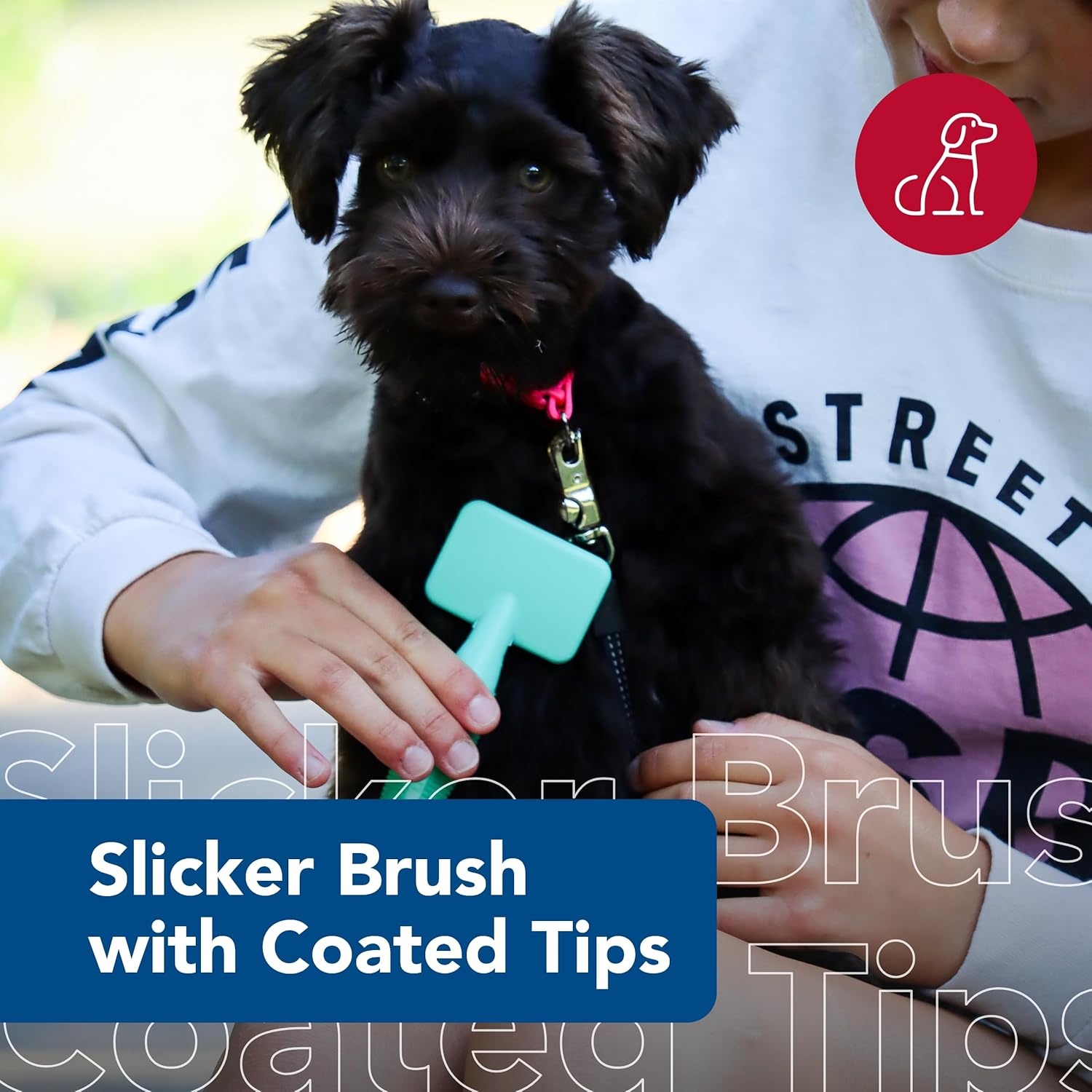 image:imageCoastal Pet Lil Pals Dog Slicker Brush with Coated Tips Dog Grooming Brush for Small Breeds amp Puppies One Size 325 x 725