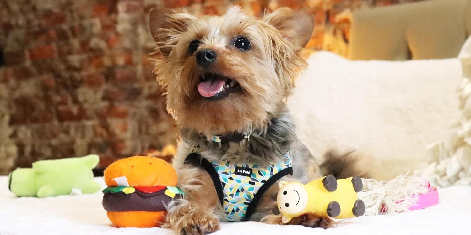 image:imageCoastal Pet Lil Pals Dog Slicker Brush with Coated Tips Dog Grooming Brush for Small Breeds amp Puppies One Size 325 x 725