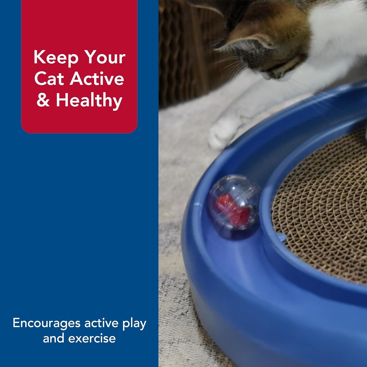 image:imageCoastal Pet Turbo Assorted Ball Pack Cat Treat Ball Customizable Cat Toy Pairs with Turbo Scratcher Mega Turbo and Star Chaser Assorted 2 Pack