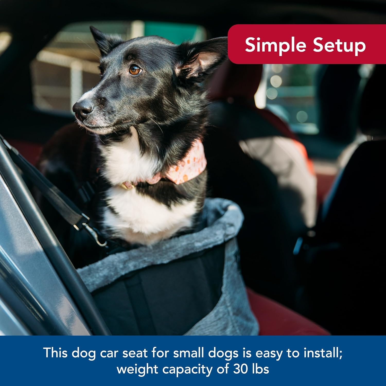 image:imageCoastal Pet Bergan Comfort Hanging Dog Booster Black Small Up to 30 Pounds