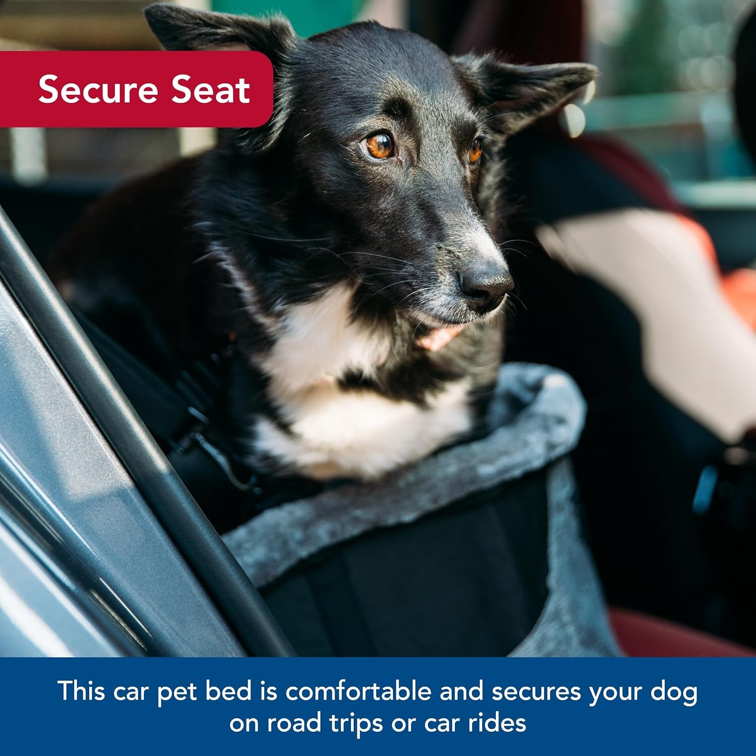 image:imageCoastal Pet Bergan Comfort Hanging Dog Booster Black Small Up to 30 Pounds