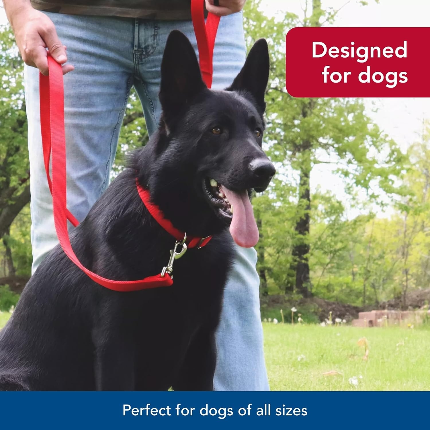image:imageCoastal Pet DoublePly Dog Leash Bolt Snap Attachment to Collars and Harnesses Nylon Dog Walking Leash for Small Medium and Large Dogs Black 1 x 6Black
