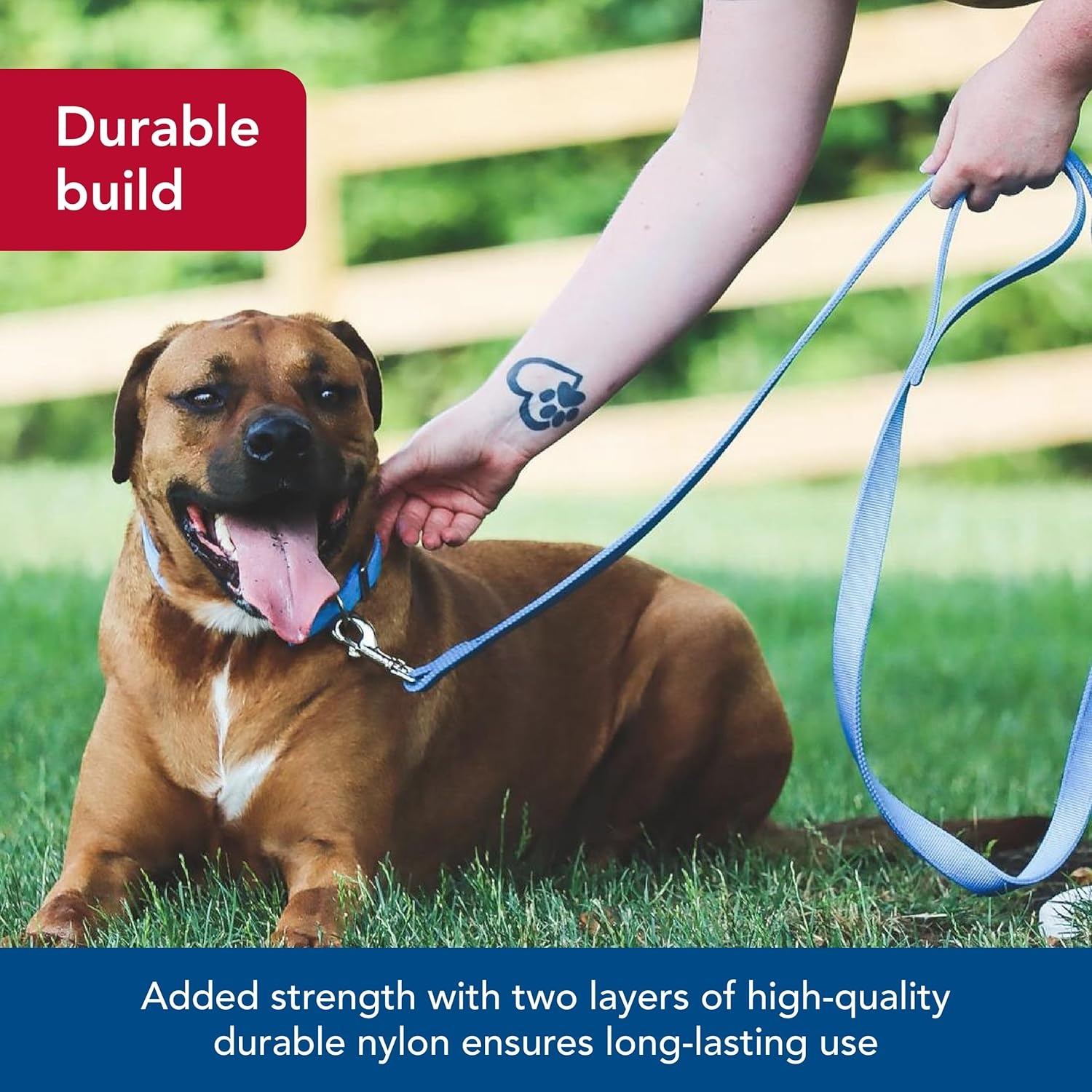 image:imageCoastal Pet DoublePly Dog Leash Bolt Snap Attachment to Collars and Harnesses Nylon Dog Walking Leash for Small Medium and Large Dogs Black 1 x 6Black