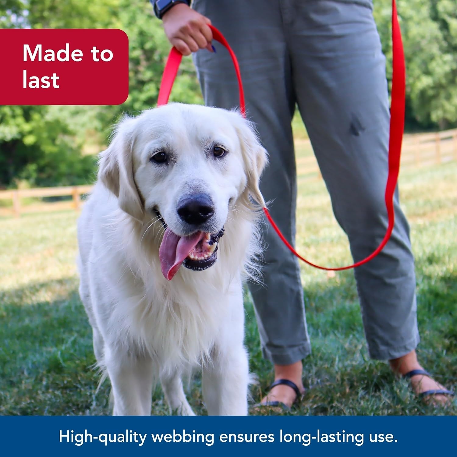 image:imageCoastal Pet DoublePly Dog Leash Bolt Snap Attachment to Collars and Harnesses Nylon Dog Walking Leash for Small Medium and Large Dogs Black 1 x 6Red