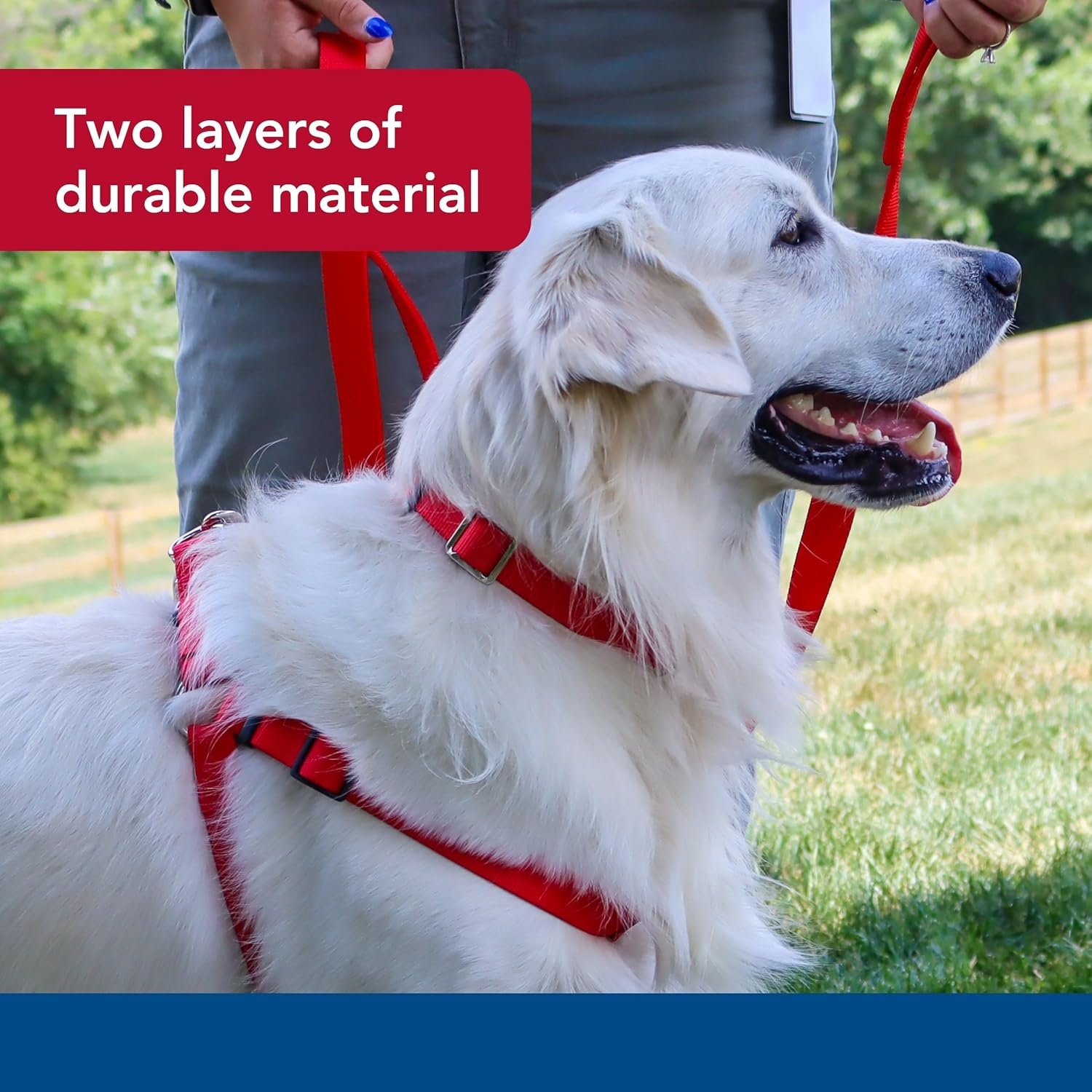 image:imageCoastal Pet DoublePly Dog Leash Bolt Snap Attachment to Collars and Harnesses Nylon Dog Walking Leash for Small Medium and Large Dogs Black 1 x 6Red
