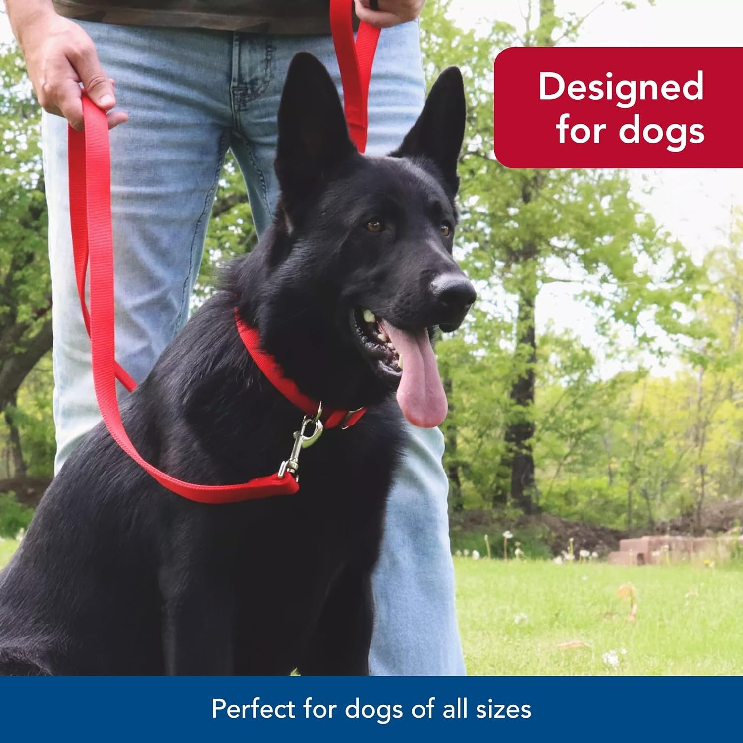 image:imageCoastal Pet DoublePly Dog Leash Bolt Snap Attachment to Collars and Harnesses Nylon Dog Walking Leash for Small Medium and Large Dogs Black 1 x 6Red
