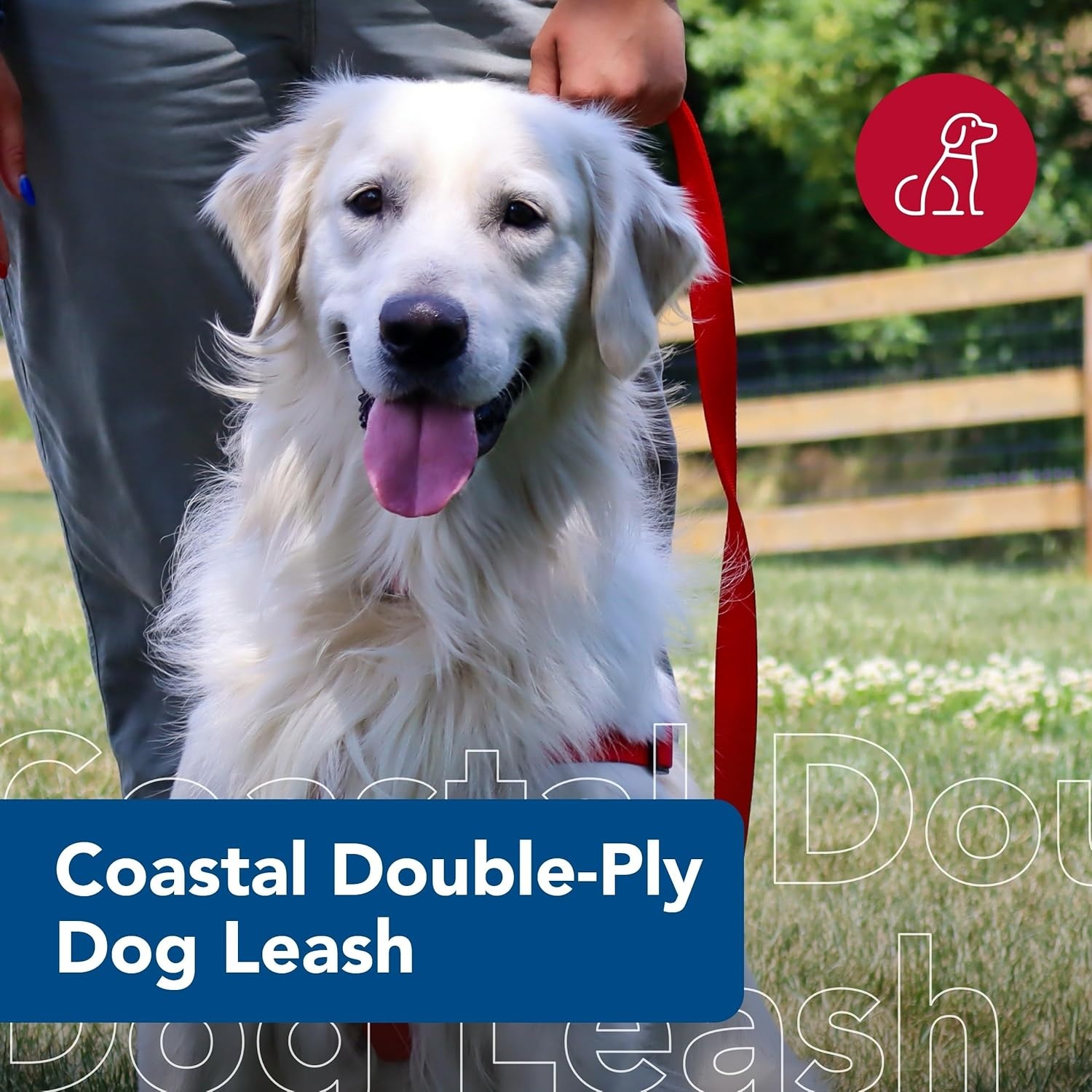 image:imageCoastal Pet DoublePly Dog Leash Bolt Snap Attachment to Collars and Harnesses Nylon Dog Walking Leash for Small Medium and Large Dogs Black 1 x 6Red