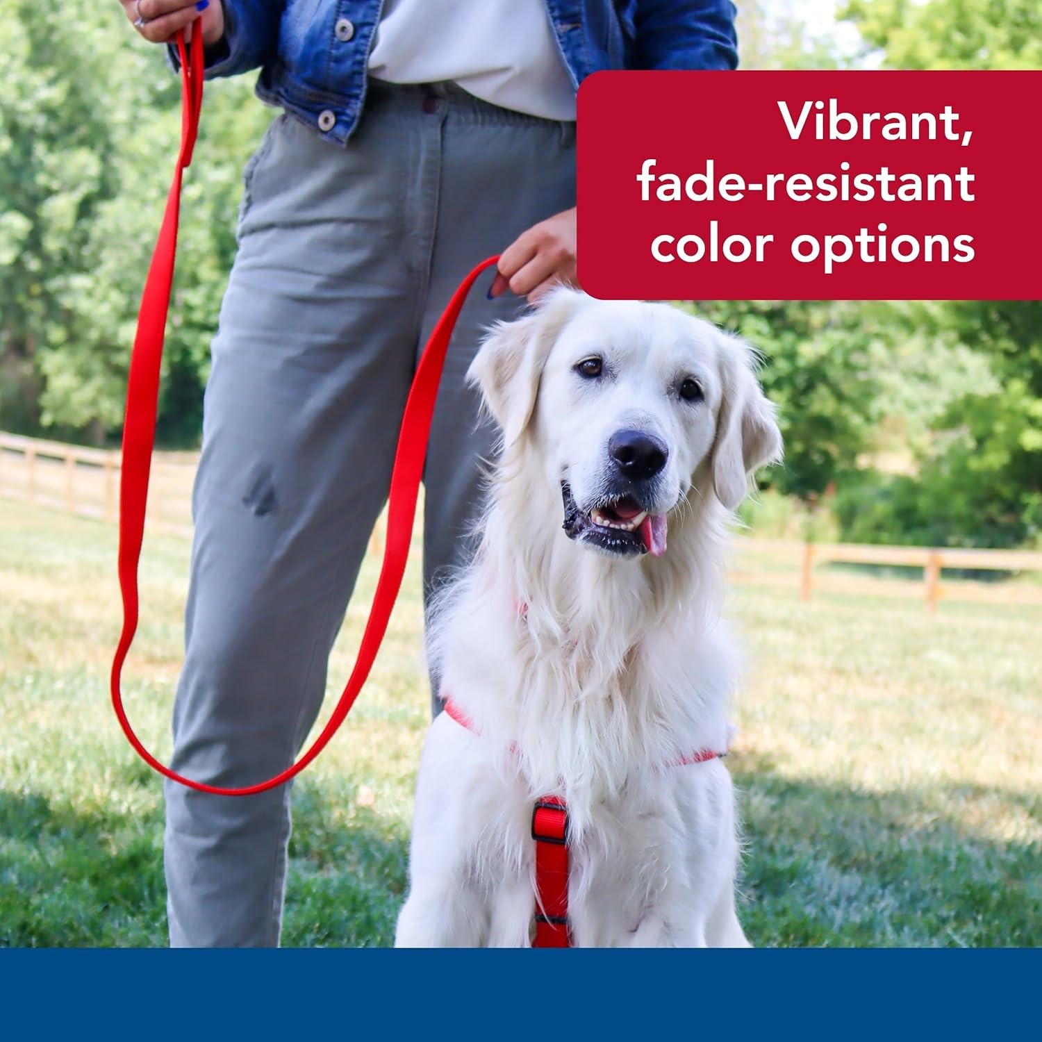 image:imageCoastal Pet DoublePly Dog Leash Bolt Snap Attachment to Collars and Harnesses Nylon Dog Walking Leash for Small Medium and Large Dogs Black 1 x 6Red