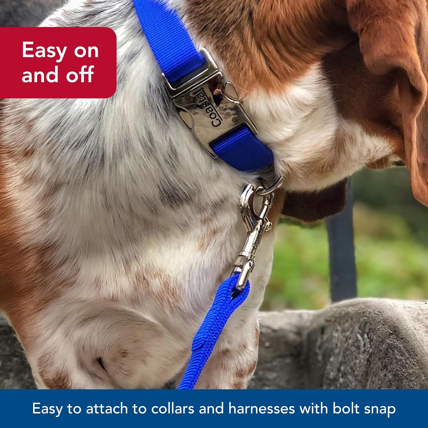 image:imageCoastal Pet DoublePly Dog Leash Bolt Snap Attachment to Collars and Harnesses Nylon Dog Walking Leash for Small Medium and Large Dogs Black 1 x 6Teal
