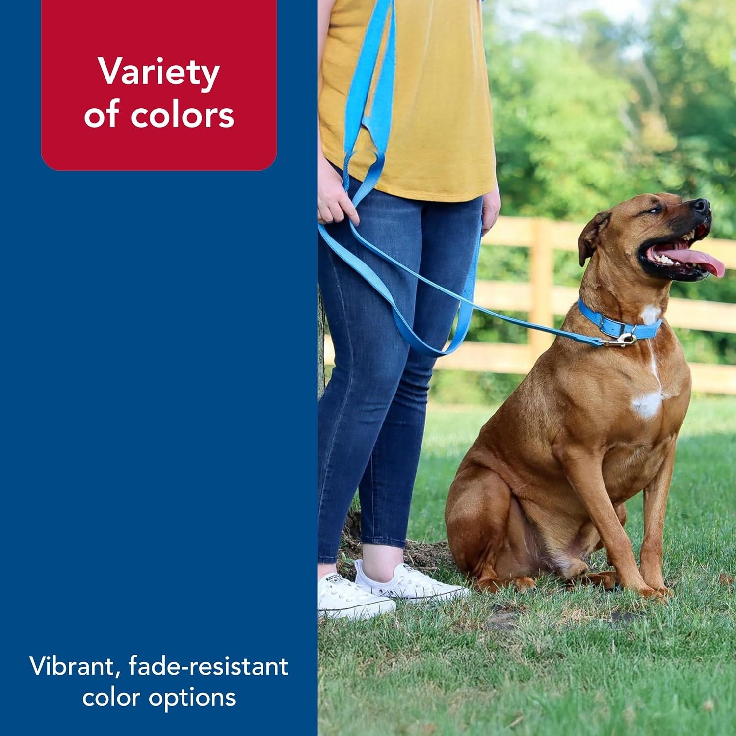image:imageCoastal Pet DoublePly Dog Leash Bolt Snap Attachment to Collars and Harnesses Nylon Dog Walking Leash for Small Medium and Large Dogs Black 1 x 6Teal