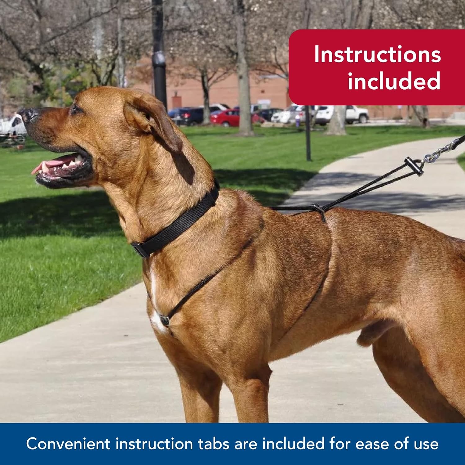 image:imageCoastal Pet Holt Adjustable Dog Control Harness Big amp Small Dog Harness Walking Harness for Dogs Instructions Included TopGrade Pet Supplies for Dogs Black Large 26Black