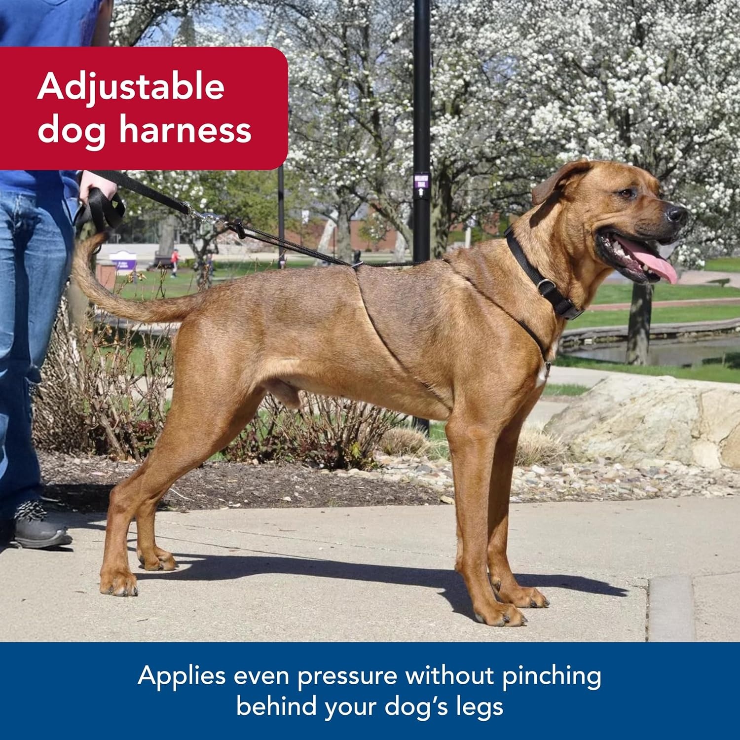 image:imageCoastal Pet Holt Adjustable Dog Control Harness Big amp Small Dog Harness Walking Harness for Dogs Instructions Included TopGrade Pet Supplies for Dogs Black Large 26Black