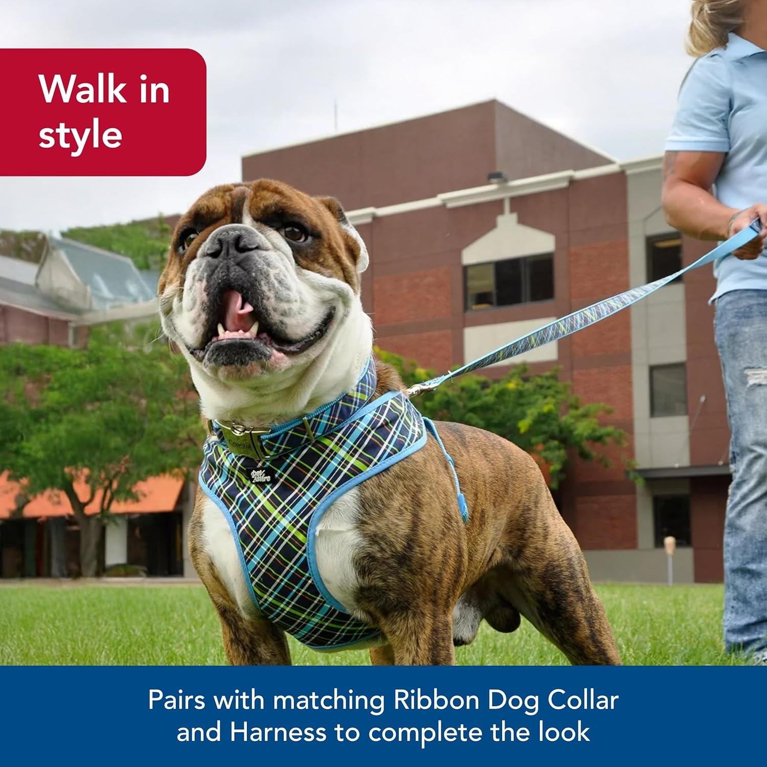 image:imageCoastal Pet Ribbon Dog Leash Contemporary Stylish Look Durable FadeResistant Nylon Material Perfect for Dogs Brown Paws amp Bones 1 x 4