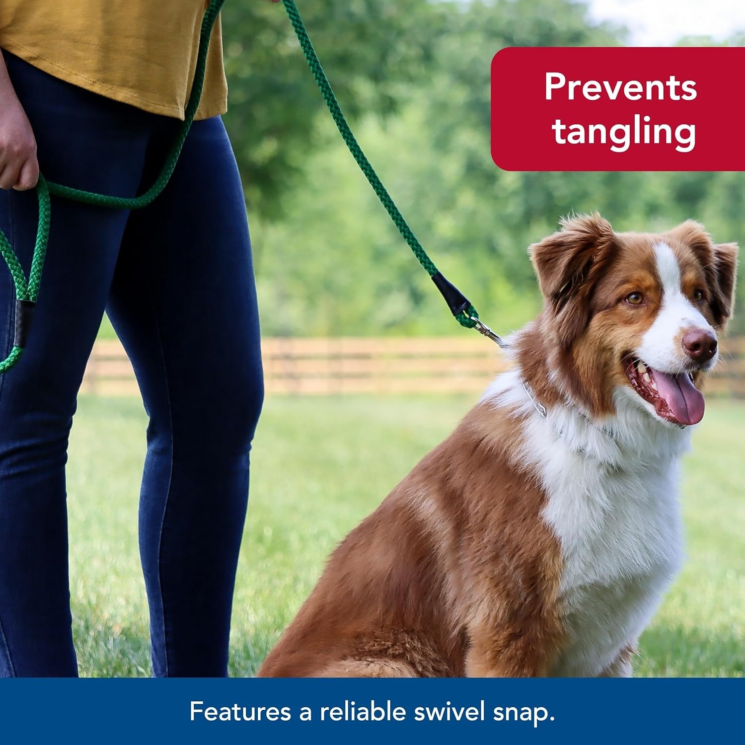 image:imageCoastal Pet Rope Dog Leash TangleFree Walking SoftBraided Nylon FadeResistant Colors with Snap Swivel Hook Purple 12 x 06Purple