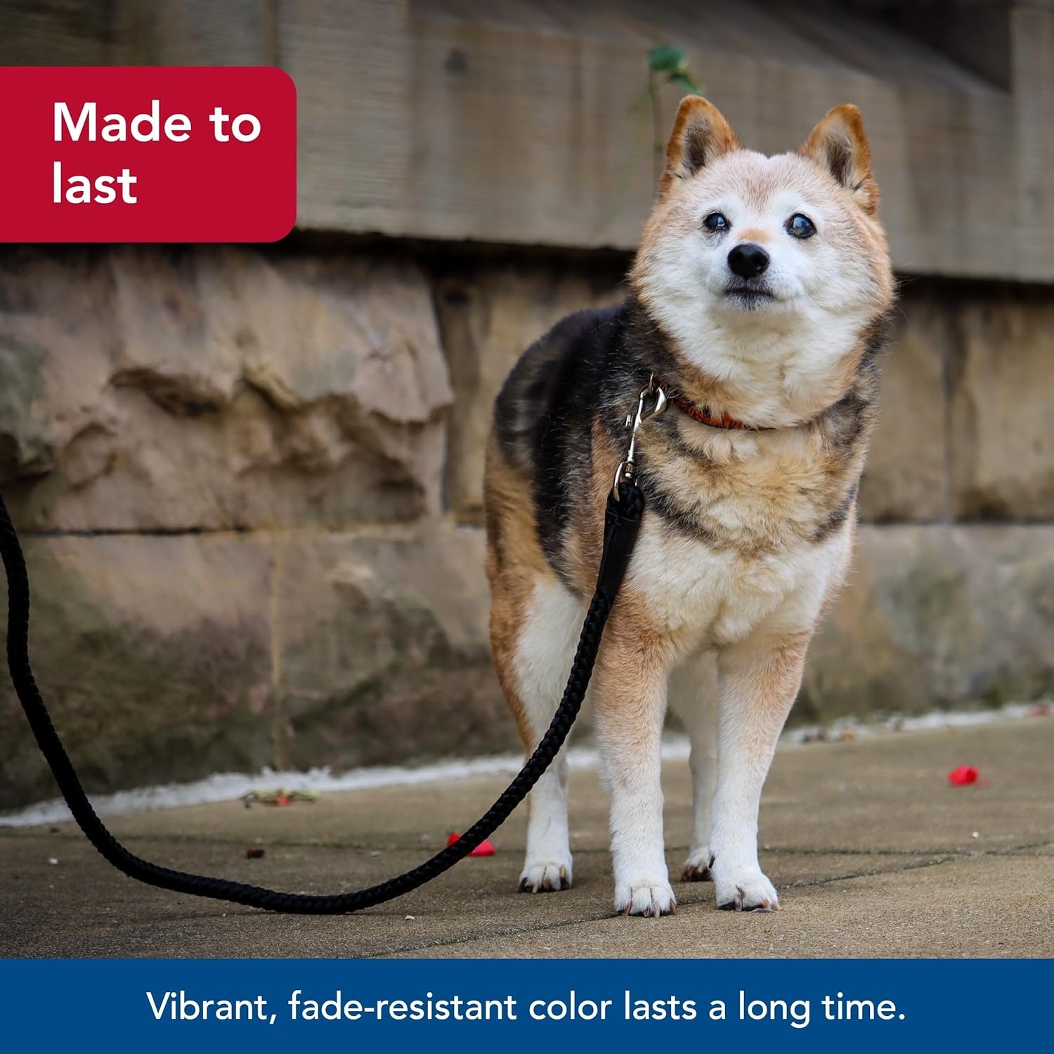 image:imageCoastal Pet Rope Dog Leash TangleFree Walking SoftBraided Nylon FadeResistant Colors with Snap Swivel Hook Purple 12 x 06Purple