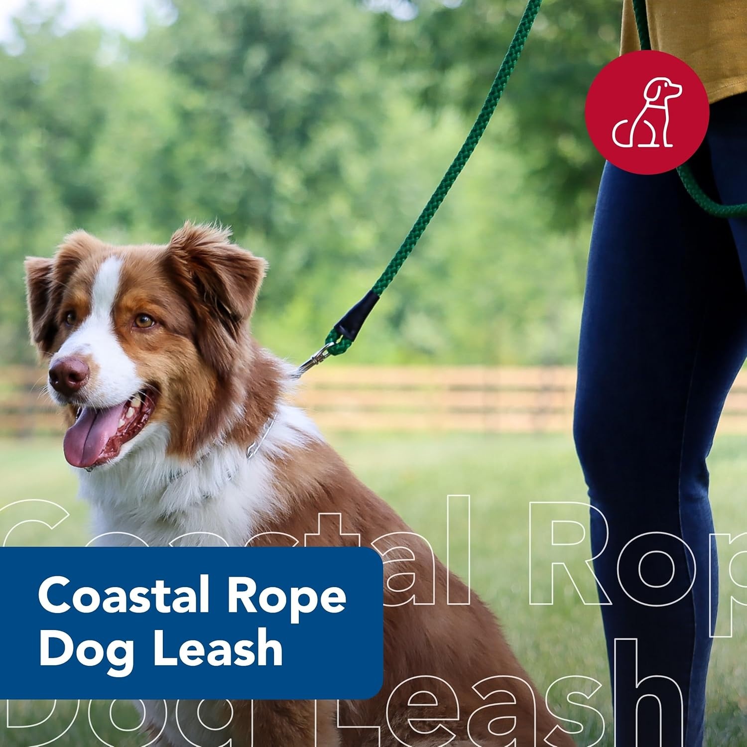 image:imageCoastal Pet Rope Dog Leash TangleFree Walking SoftBraided Nylon FadeResistant Colors with Snap Swivel Hook Purple 12 x 06Teal