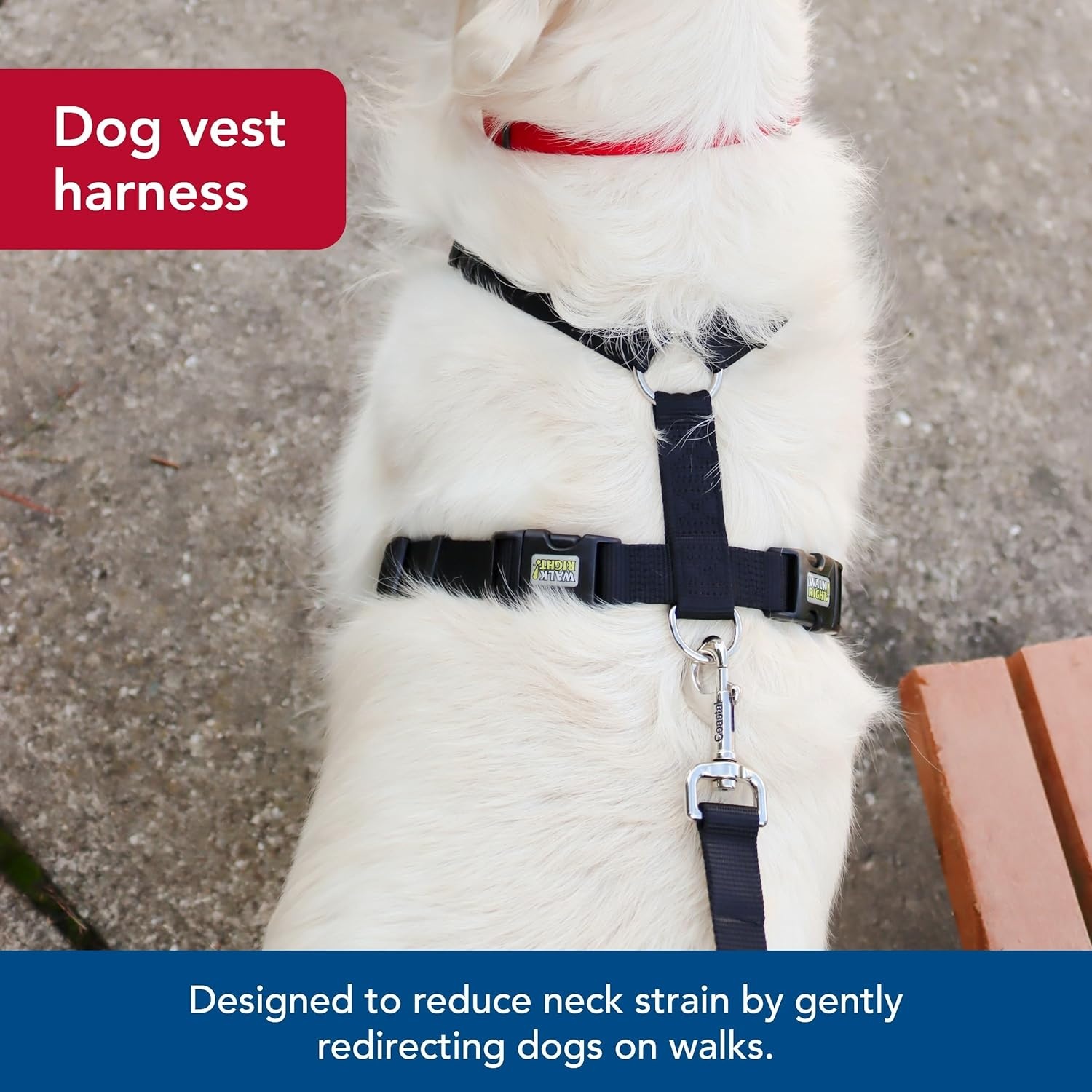 image:imageCoastal Pet Walk Right FrontConnect NoPull Padded Dog Harness Adjustable amp Comfortable Dog Harness Small amp Large Breed Fit Quality Pet Supplies Black LRG 2638Blue