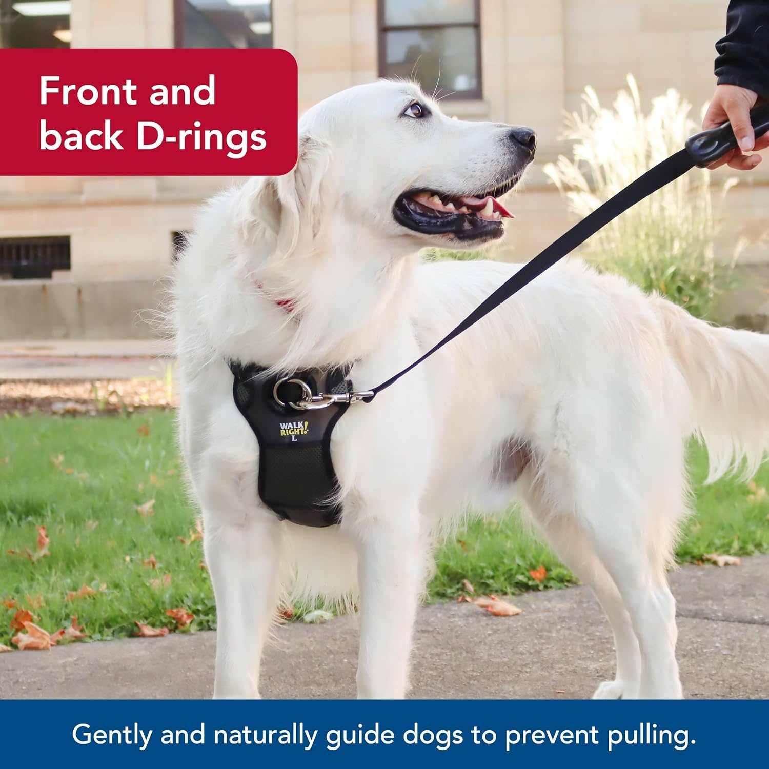 image:imageCoastal Pet Walk Right FrontConnect NoPull Padded Dog Harness Adjustable amp Comfortable Dog Harness Small amp Large Breed Fit Quality Pet Supplies Black LRG 2638Red