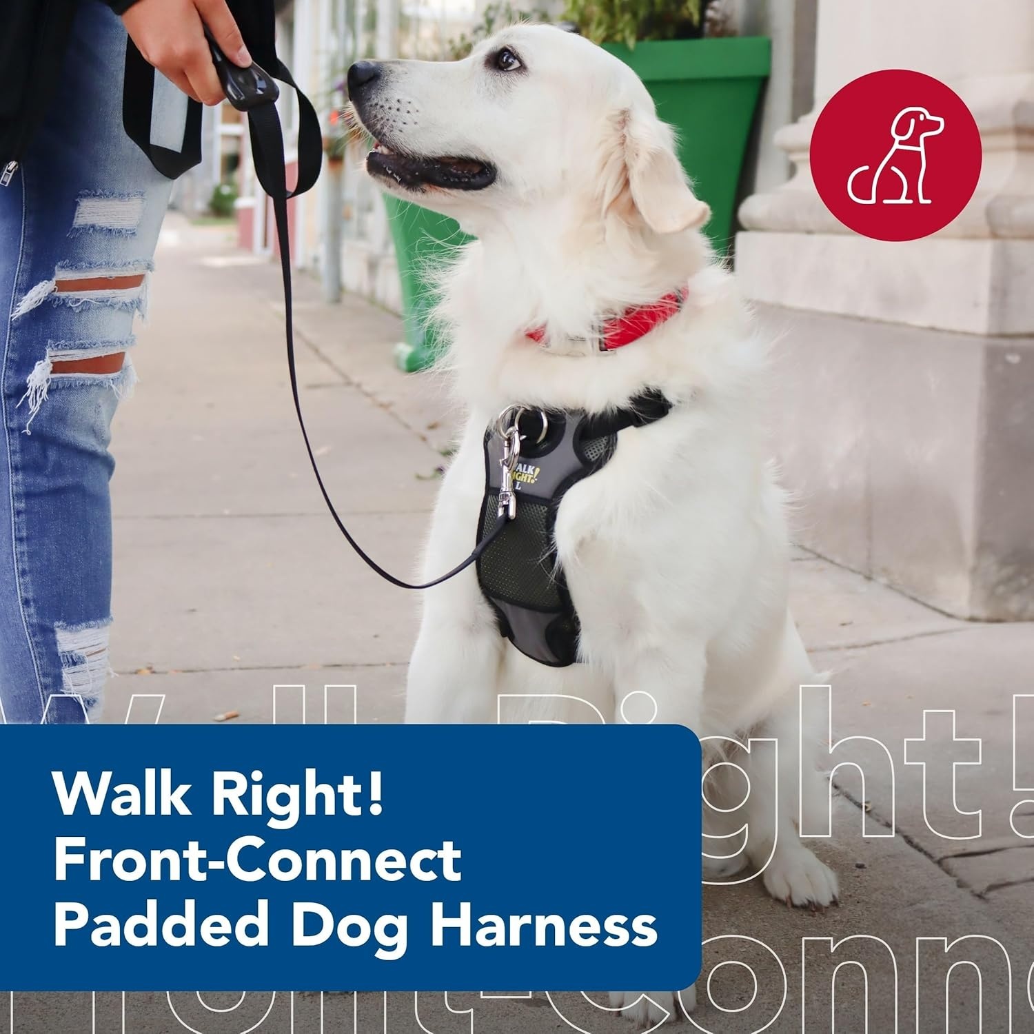 image:imageCoastal Pet Walk Right FrontConnect NoPull Padded Dog Harness Adjustable amp Comfortable Dog Harness Small amp Large Breed Fit Quality Pet Supplies Black LRG 2638Black