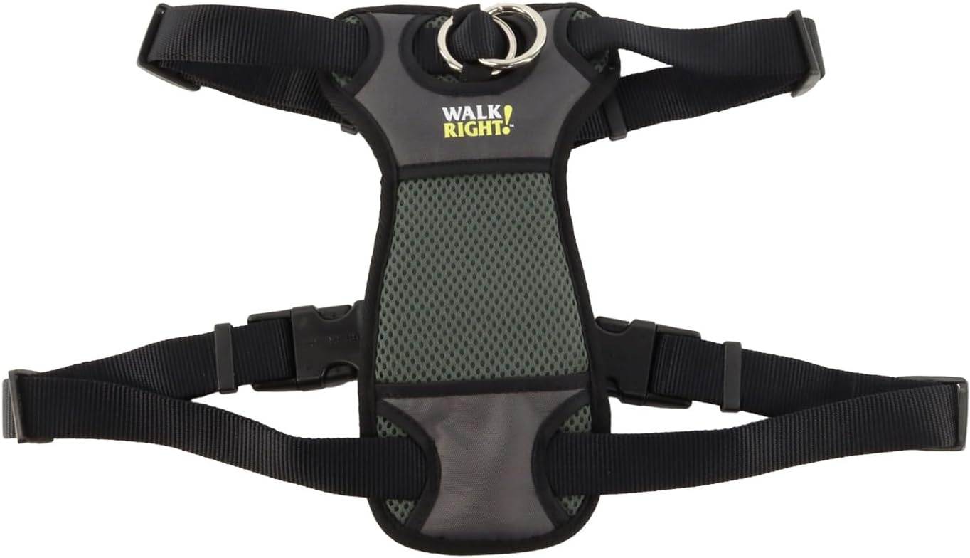 image:imageCoastal Pet Walk Right FrontConnect NoPull Padded Dog Harness Adjustable amp Comfortable Dog Harness Small amp Large Breed Fit Quality Pet Supplies Black LRG 2638Black