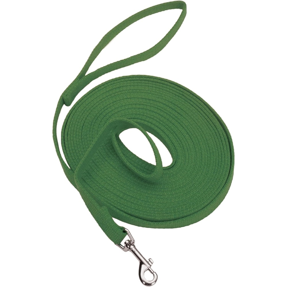 image:imageCoastal Cotton Web Training Dog Leash Green 20 ft