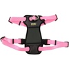 Pink Bright